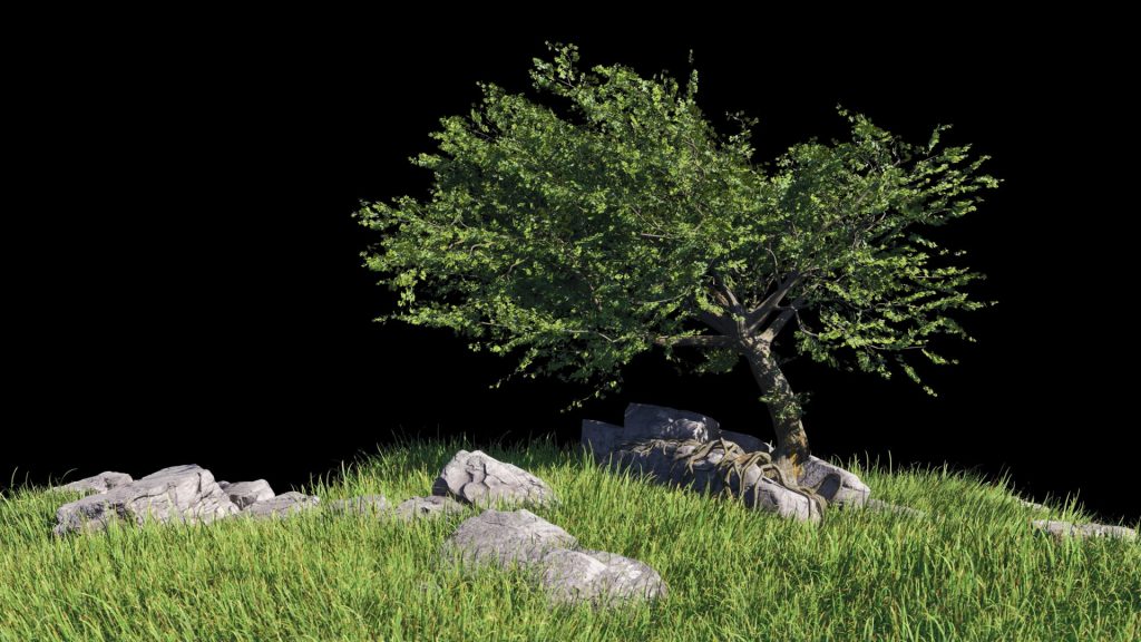 Створення рослинності в Speedtree