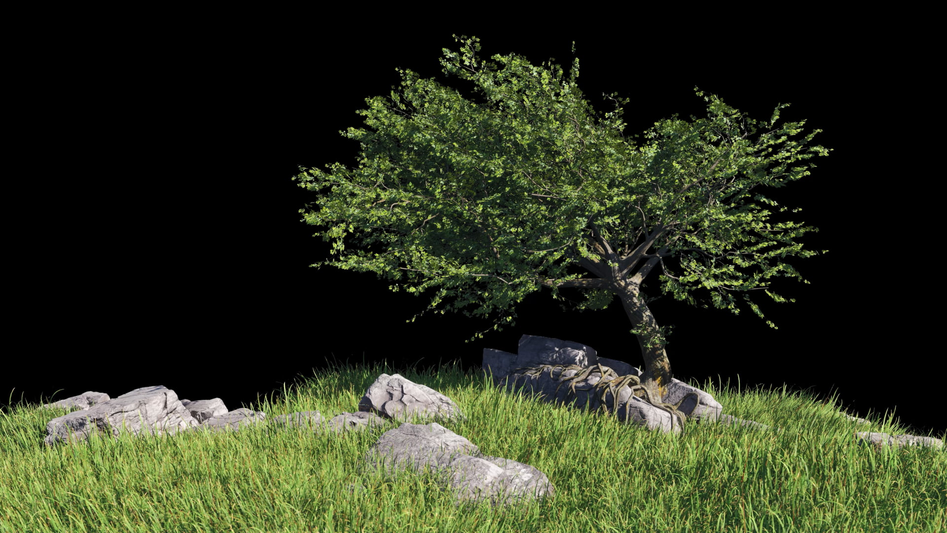 Background